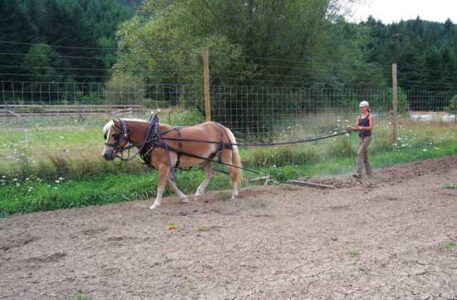 Women in Agriculture: Number of Female Farmers Triples Image
